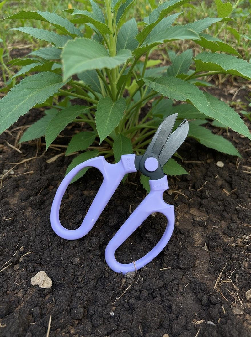 Garden Pruning Shears Scissors Carbon Steel Blades 6.7 In, Snapdragon - Lavender 6.7 inch Lavender