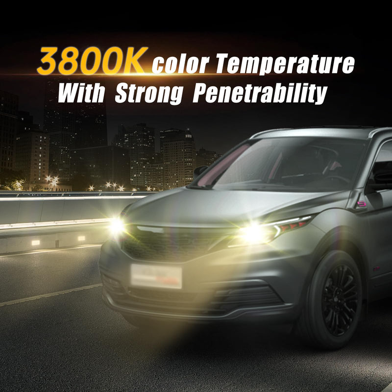 H11 Headlight Bulbs, 12V 55W, 4000 Lumens, 3800K, Halogen Light Bulbs, No Glare, Headlight Bulbs High and Low Beam, Fog Light Bulb,Head Light Bulb for Car, Pack of 2 H8/9/11