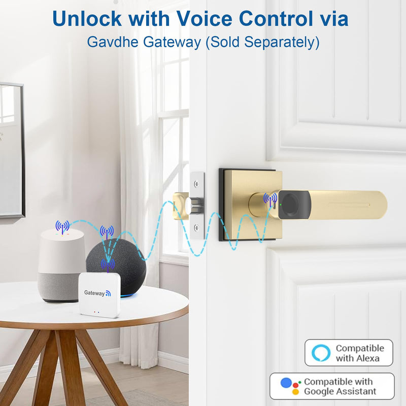 Fingerprint Door Lock & Biometric Door Knob with App – 3-in-1 Keyless Entry Smart Door Lock with Auto-Lock & Interior Lockable, Secure Your Home, Office, Bedroom & Apartment Gold