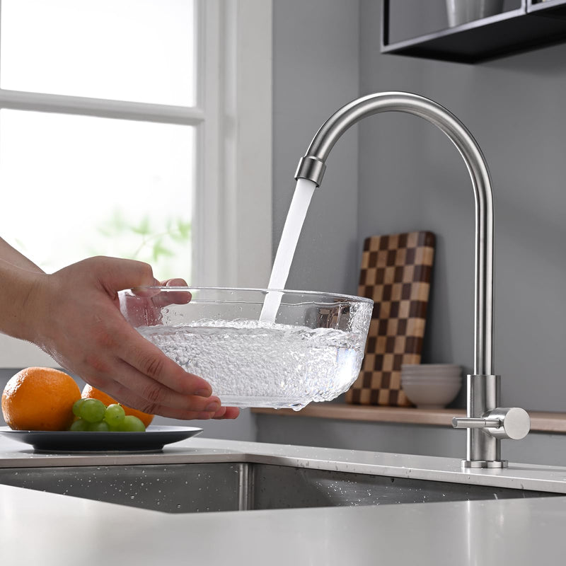 Cold Only Bar Sink Faucet, SUS304 Stainless Steel Cold Water Only Kitchen Faucet Single Handle Faucet for Outdoor Sink Brushed Nickel