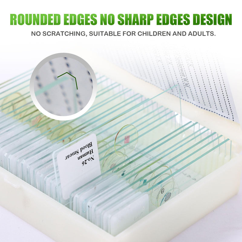 120 Microscope Slides with Specimens, Plant, Insect, Animal, Algae Slide Set for Biological Science Laboratory Basic Biological Science Education 120pcs