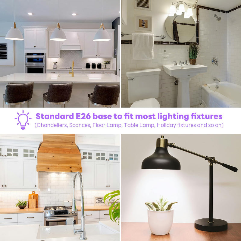 LED Light Bulbs A19 Daylight 6500K 12W (100 Watt Equivalent) 10 Packs | 1200 Lumens, Non-Dimmable, E26 Standard Medium Base, Super Bright 12W 6500K Daylight-10P