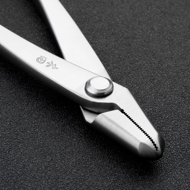 Professional Series Bonsai Tools 205 Mm Jin Pliers From TianBonsai