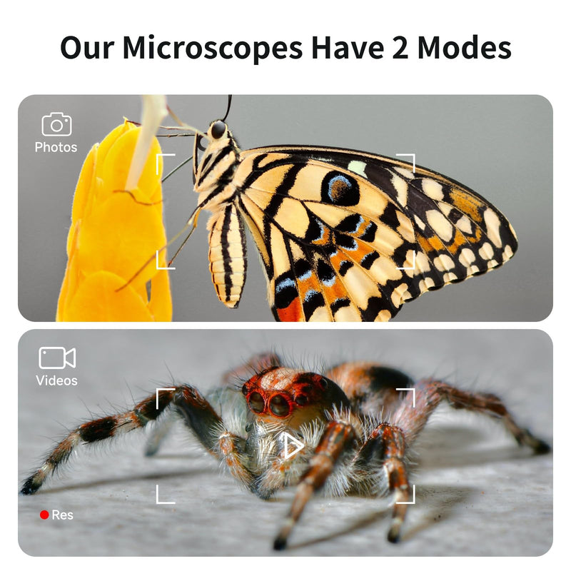 Microscope for Kids, Kids Microscope with 4.0" IPS Screen, Portable Digital Pocket Microscope for Kids 8-12, Miniscope Kids Compatible with iPhone Android Computer BEAVERLAB-M2C White