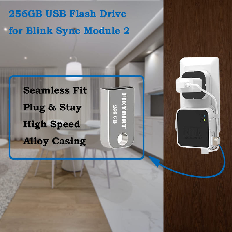 256GB Blink USB Flash Drive and Sync Module 2 Mount, Space Saving and Easy Move Mount Bracket Holder for Blink Outdoor Indoor Security System (Blink Sync Module 2 is NOT Included)