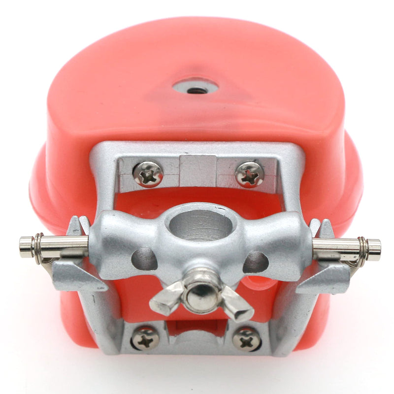 Dental Typodont Model Teaching Study Compatible with Kilgore Nissin 32 Removable Teeth and Simulation Cheek