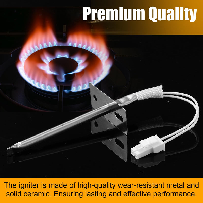 Gas Range Oven Ignitor Replacement Range Oven Temperature Sensor Probe Compatible with Samsung and LG DG94-00520A DG32-00002B EBG61305805 2692271 AP5577941 EAP4241428 PS4241428
