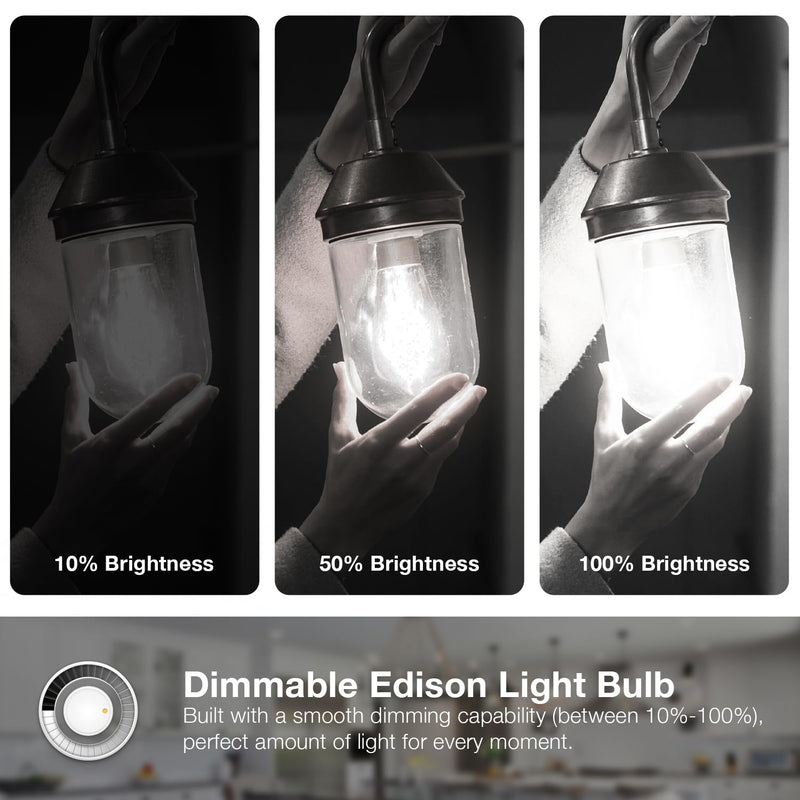 DAYBETTER 12 Pack Vintage LED Edison Bulbs, E26 Led Bulb 60W Equivalent, Dimmable Led Light Bulbs, High Brightness 800 LM Daylight White 5000K, ST58 Antique Filament Bulbs, Clear Glass Style for Home
