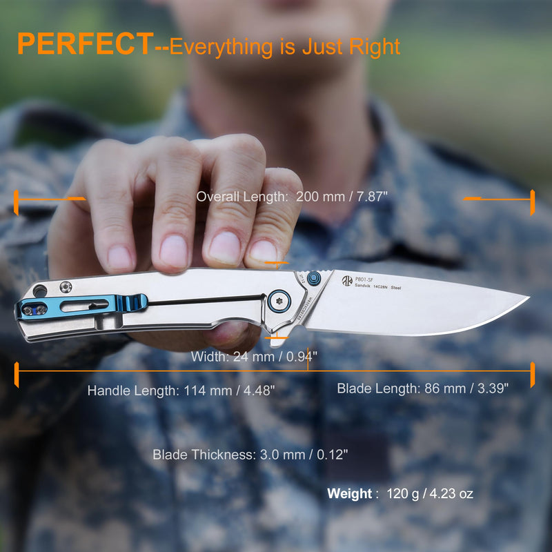 Ruike Tactical Folding Pocket Knife for men,14C28N Stainless Steel Blade,Frame Lock,EDC Small Camping Knives Belt Clip Carry,Lightweight Survival Flipper Microtech Elemental Fishing Gear Tool 3.4"