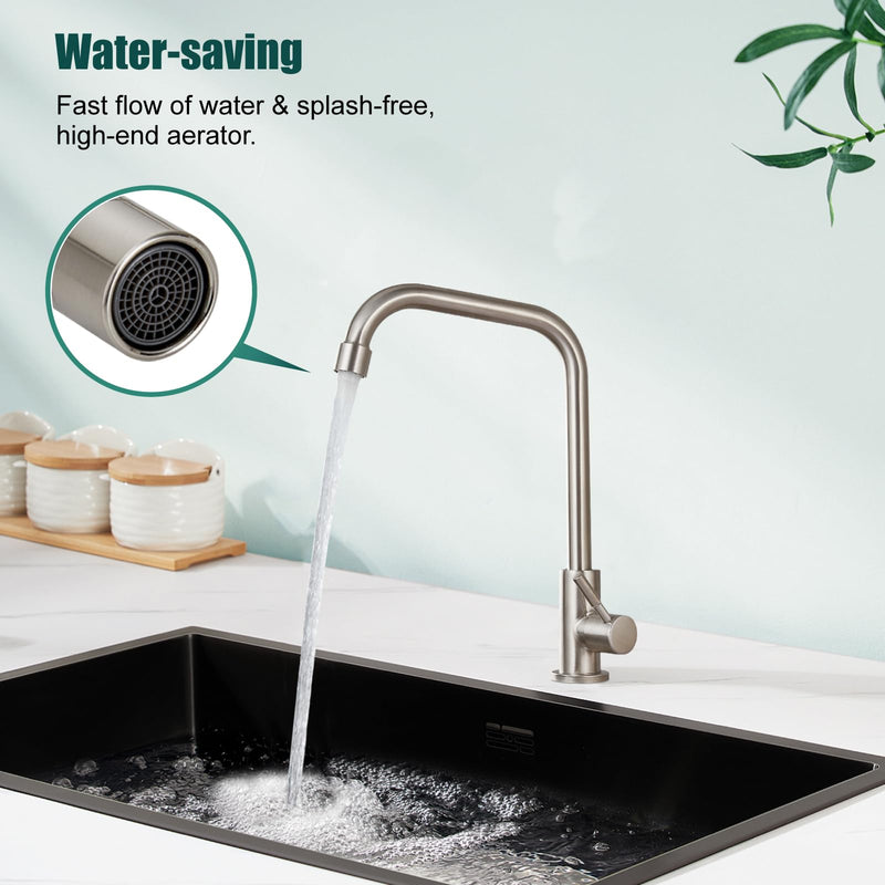 Heyalan Faucet Cold Water Only Single Lever Handle SUS304 Sink Bar Tap 360 Degree Swivel Spout Decked Mounted Longer Thread Pipe,Brushed Nickel Brushed Nickel