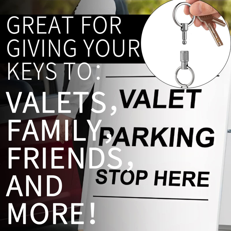 FEGVE Titanium Quick Release Swivel Keychain, Pull Apart Detachable Keychain Heavy Duty Car Key Holder with Key Rings Grey 1 Pack