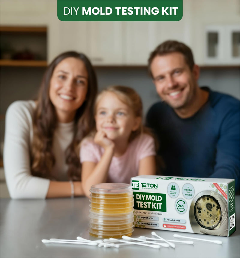 Mold Test Kit – Test 10 Different Areas in Home, Swab Sample and Air Sample, Easy-to-Use Guide, Professional-Grade Testing
