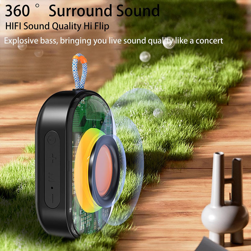 Wireless Bluetooth Portable Speaker with Multi LED Light Dynamic Modes, Outdoor Bluetooth Speakers, Lightweight for Party, Outdoor, Camping. (B2 Landscape, Black)