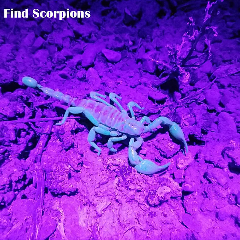 Black Light UV Flashlight, High Power Blacklight Flashlight Rechargeable, 385-395nm Wavelength Beam Best for Pet Urine Detection, Scorpion, Resin Curing, Bed Bug