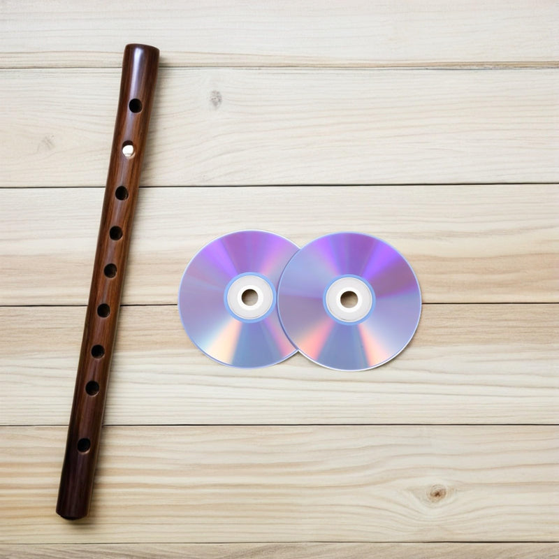 COHEALI 2pcs Recordable Music Disc Writable Media High Capacity Storage Plastic Blank Discs Compatible with DVD and CD Formats for Home and Office Audio Recording Backups
