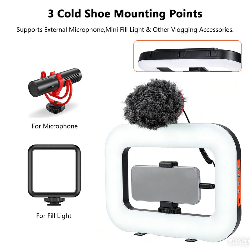 Cell Phone Video Light,Smartphone Camera Ring Light Video Rig with Phone Holder,Handheld Video Stabilizer Rig for Vlogging Video Recording