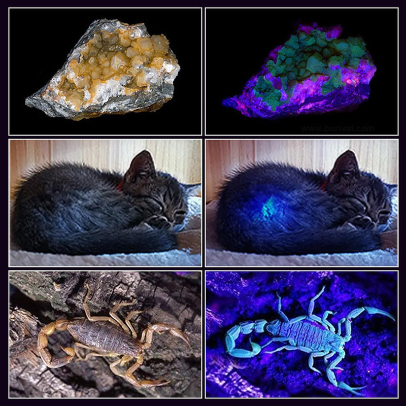 60W 365nm UV- Black Light Flashlight, USB Rechargeable Black Light, IP65 Waterproof Blacklight Flashlights for Pet Urine Detection, Resin Curing, Rock Hunting, Mineral Detection S-3535