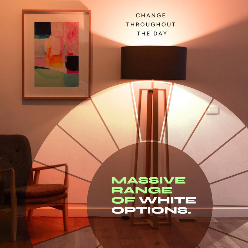 LIFX Color Smart Light Bulbs (2-Pack) A19 E26, Matter Compatible RGB + Tunable White (800 Lumens), WiFi Dimmable Color Changing (2.4GHz), Compatible with Apple HomeKit, Alexa & Google 2 Count (Pack of 1) 60W Equivalent