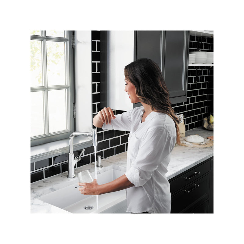 hansgrohe3-inch Bath and Kitchen Sink Soap Dispenser Transitional in Chrome, 04857000