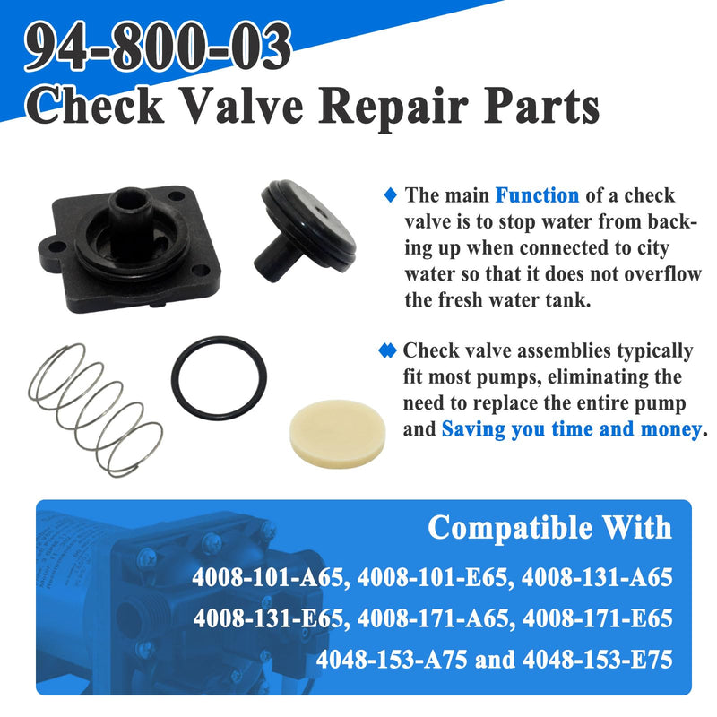 94-800-03 Repair Parts with Gaskets for 4008 Pump Check Valve Model