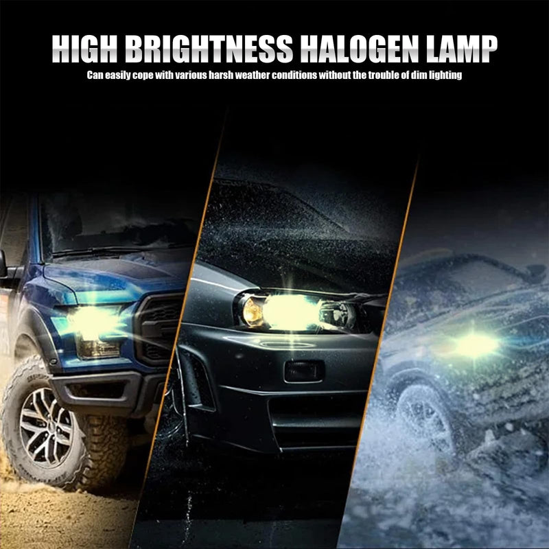 gunhunt 2 PCS Car H11-55W Halogen Bulb, 12V Quartz Lamp Beam Low/High Beam Fog Light Replace, All-in-one Plug and Play Lighting, Suitable for Replacement of Original H11 Bulb Model (Warm White Light) White #H11