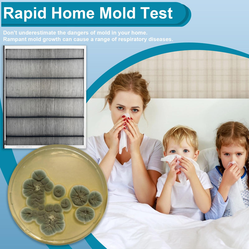 Mold Test Kit for Home- DIY Mold Detector for Home, 6 at Home Mold Air Test Kits - Test HVAC、 Home Surfaces、Indoor Air Quality, Easy Black Mold Testing Kit Includes Detailed Mold Identification Guide 6 pack