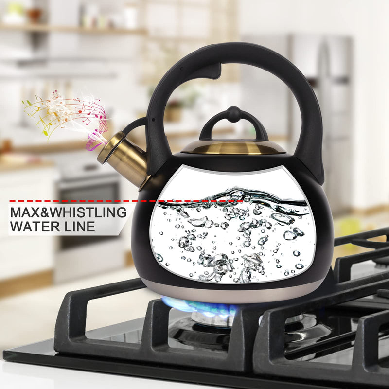 Tea Kettle for Stovetop, Food Grade Stainless Steel Water Kettle, Tea Pot for Home & Kitchen, 3.1 Quart Black