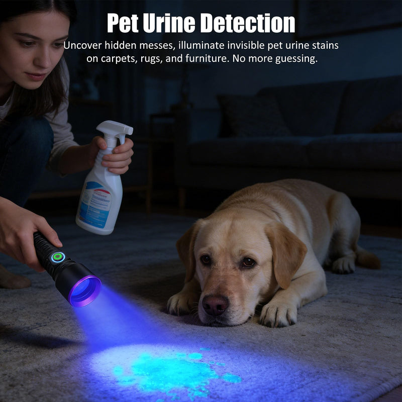 365nm UV Flashlight Black Light Rechargeable, Powerful Blacklight Flashlights, Portable UV Light for Pet Urine Detection, Resin Curing, Rocks, Bed Bugs, Scorpion, Yooperlite, Uranium Glass, AC Leak