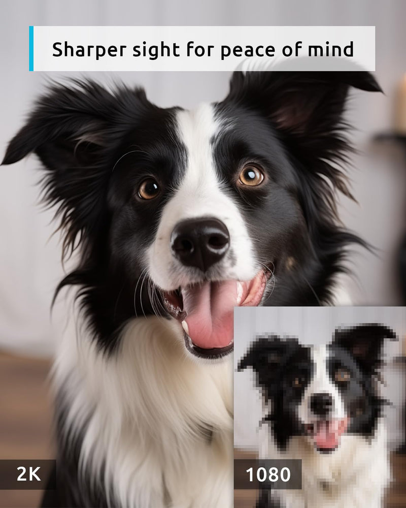 blurams 2K Security Camera Bundle 3-Pack, Indoor Camera and PTZ Pet Camera w/Motion Tracking, 2-Way Audio, IR Night Vision, Siren, Compatible with Alexa