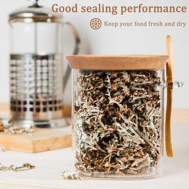 12Pcs Regular Mouth Lids Set Airtight Acacia Wood Canning Jar Lids with Silicone Sealing Rings Reusable Canning Covers for Mugs and Jars 12 Brown 12pcs