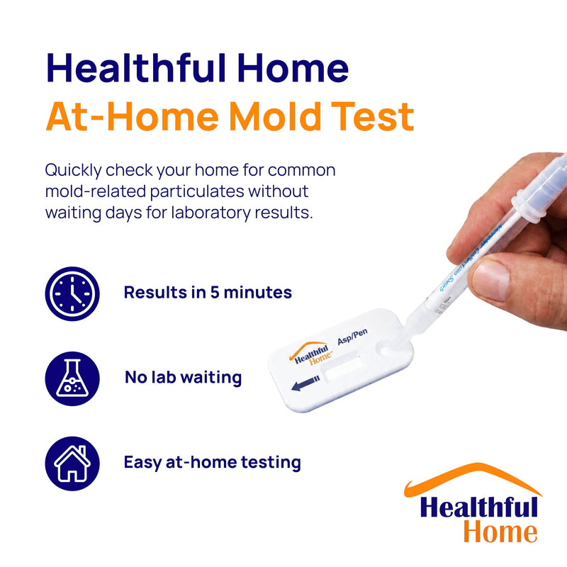 Healthful Home 5-Minute Mold Test Kit - Easy At-Home Mold Detection for Aspergillus/Penicillium & Stachybotrys, DIY Testing for Indoor Air & Moist Areas, No Lab Required, Includes Expert Consultation 1 Pack