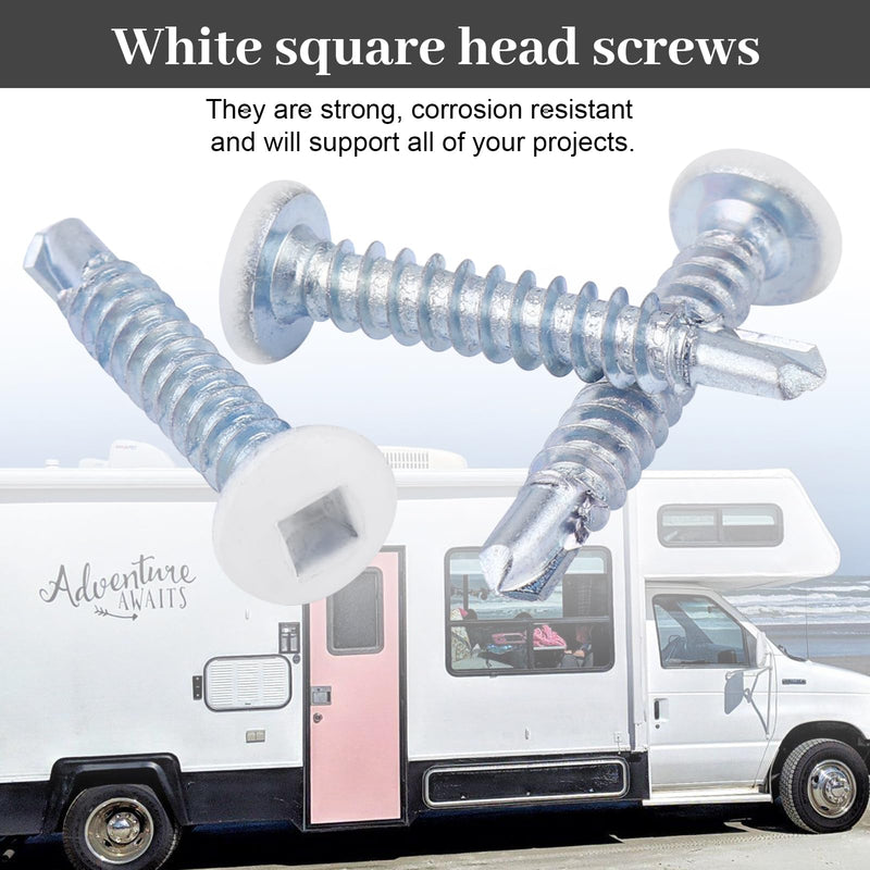 8x1 pan Head Metal rv Screws - Polar White self Drilling Screws Trailer Deck scre-ws - Square Drive Self Tap Drill Scre-ws (250 Pack) 250 Pack