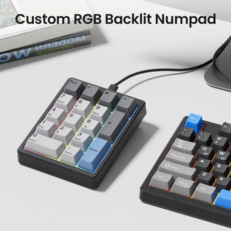 Kisnt MF17 Mechanical Numpad for Excel Financial Data Entry | QMK/VIA Programmable, Wired 17 Keys Hot Swappable, Custom RGB with PBT Keycaps for Laptops PC Compact Keyboards (Black) Black