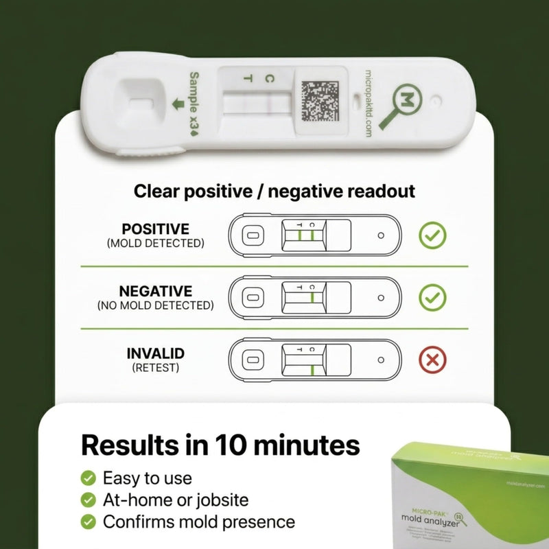 Mold Analyzer, Easy Professional Mold Detection Kit, 1 Pack | Easy At-Home Mold Detection, Fast, Accurate 10-Minute Results, DIY Testing Kit for Homes, Apartments, Bathrooms, HVAC & More