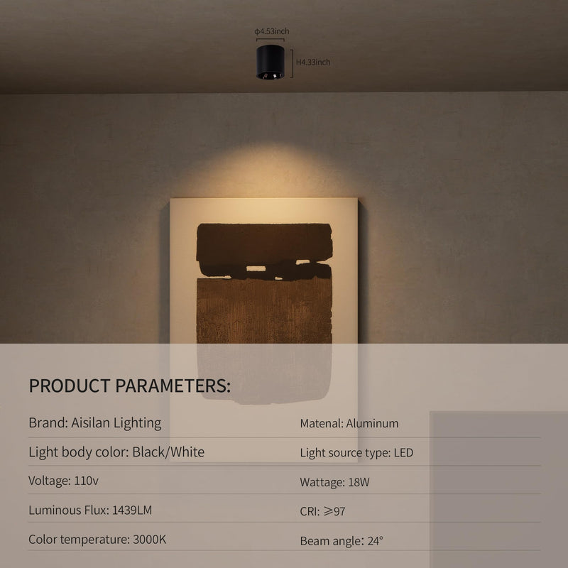 Aisilan LED Downlight Spotlight Indoor 18W Dimmable Aluminum Ceiling Directional Spots Light Flicker-Free Warm White 3000K Accent Fixture for Corridor Panting Living Room Bedroom (Black) Black 18W-3000K-Dimmable