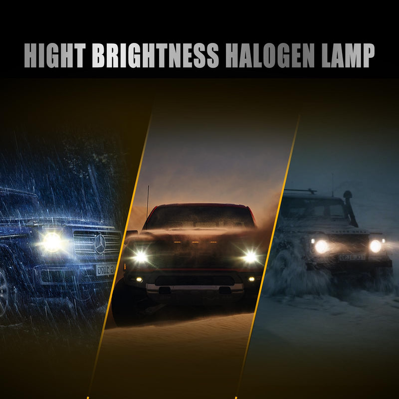 H11 Headlight Bulbs, 12V 55W, 4000 Lumens, 3800K, Halogen Light Bulbs, No Glare, Headlight Bulbs High and Low Beam, Fog Light Bulb,Head Light Bulb for Car, Pack of 2 H8/9/11