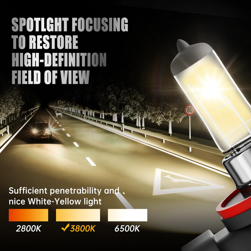 H11 Headlight Bulbs, 12V 55W, 4000 Lumens, 3800K, Halogen Light Bulbs, No Glare, Headlight Bulbs High and Low Beam, Fog Light Bulb,Head Light Bulb for Car, Pack of 2 H8/9/11