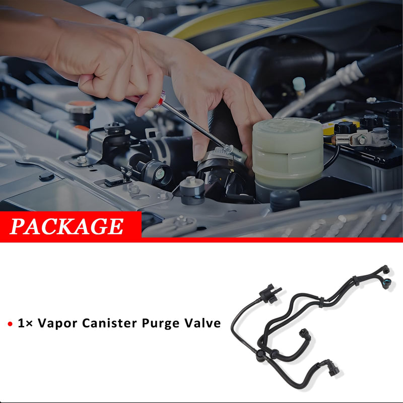 Vapor Canister Purge Valve for Ford Fusion 2017 2018 2019 2020 1.5L L4, Vapor Canister Evap Purge Valve/Solenoid Replaces HG9Z9D289F HG9Z9D289A HG9Z9D289C 994917