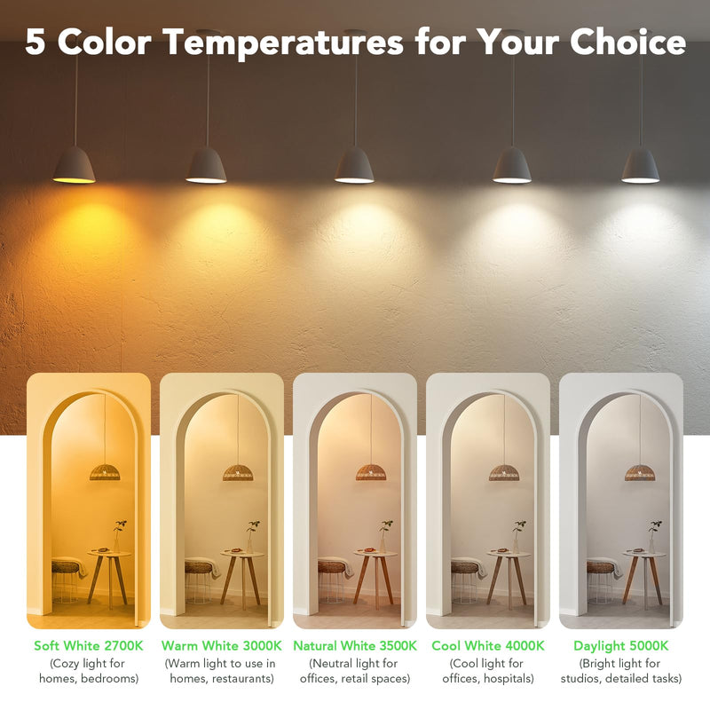 BUBO 36 Pack A19 LED Light Bulbs, 40 Watt Equivalent Daylight 5000K, E26 Base, Efficient 5W, 550 Lumens, Non-Dimmable LED Bulbs, 80+ CRI, Ideal for Home Office Kitchen