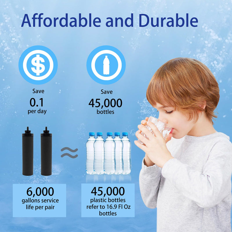 1 Micron Water Filter Replacement, Black Carbon Filters, Pack of 2 | Compatible with Gravity Filter System Black Carbon Filter