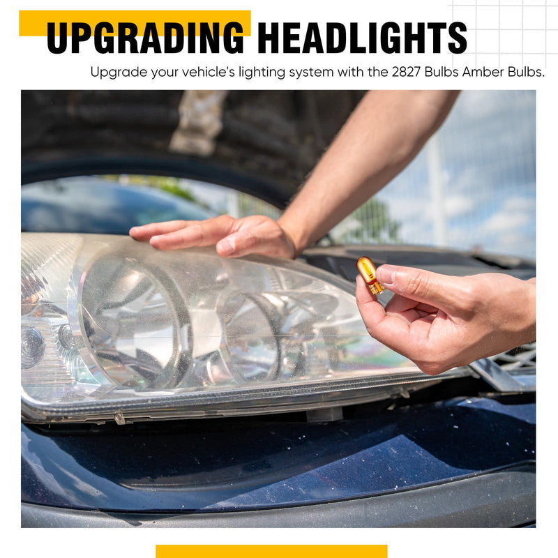 2827NATB 2825 Bulb 12V 5W W2.1 x 9.5D Base Natural Amber Parking Light Side Marker Light Bulbs Front Lights Headlights