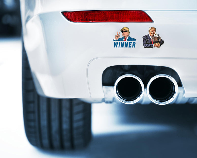 100 Pack President Stickers, American Graphic Picture Decal for Laptop, Phone, Vehicle, Water Bottle