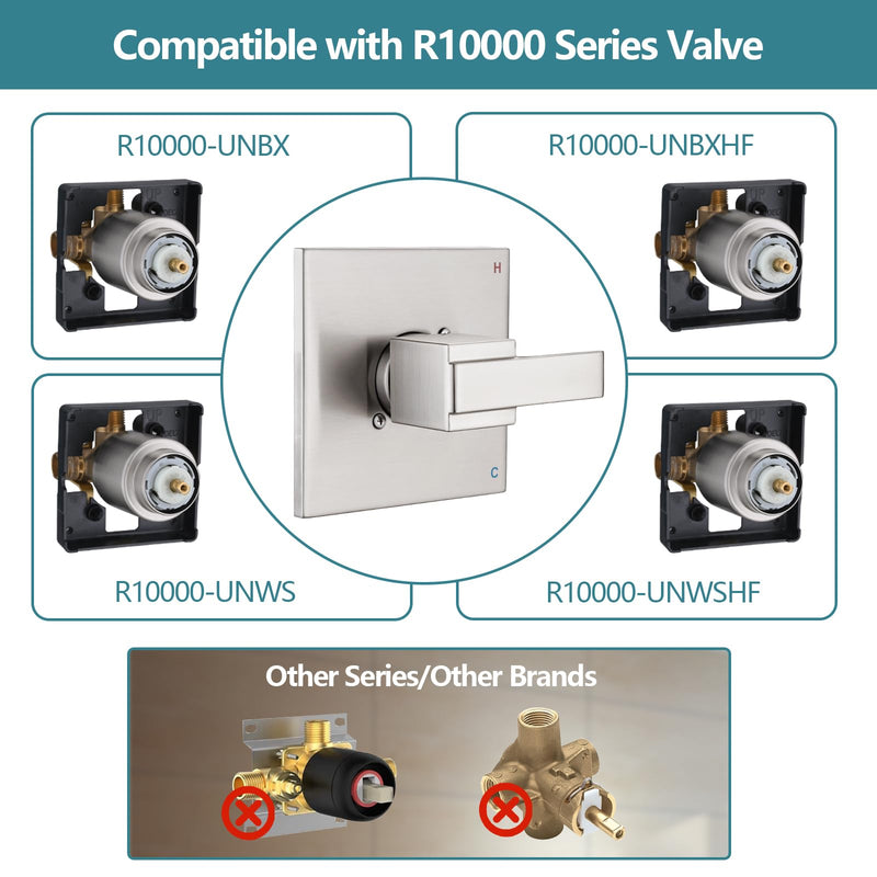 Shower Trim Kit Compatible with Delta 13/14 Series, Shower Cover Plate with Handle, Shower Cover with Handle (Valve& Catridge Not Inclued)- Brushed Nickel