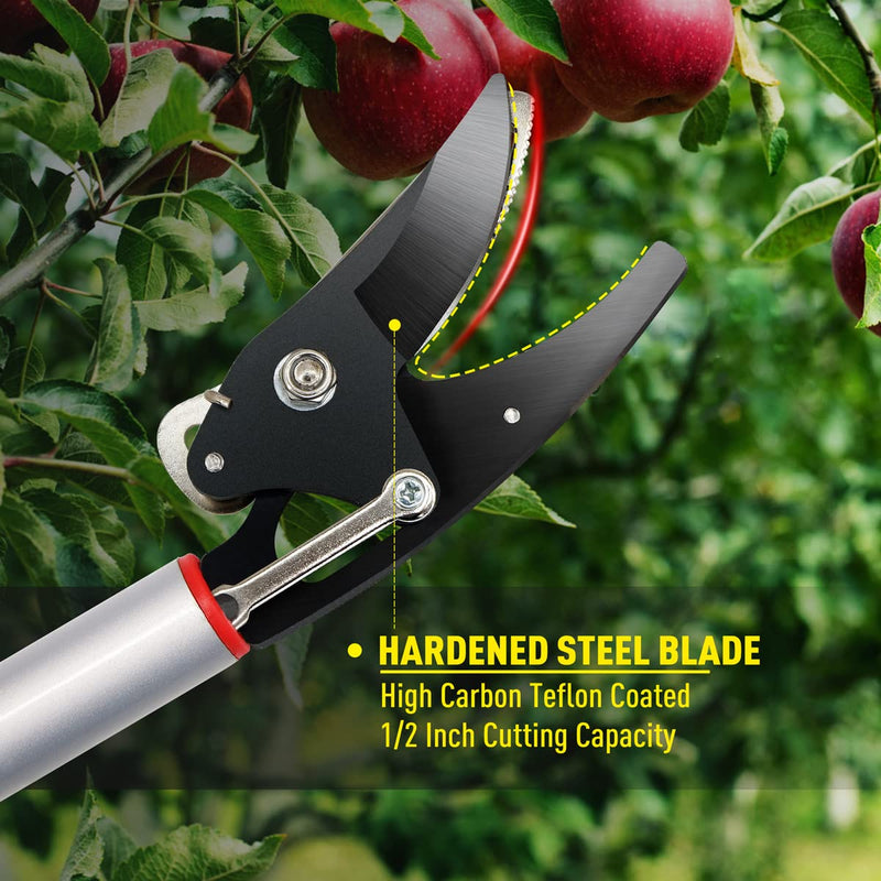 Altdorff Cut and Hold Pruner Set, Lightweight 32-Inch Long Reach Pruner One-Handed Operation, Hold Long Reach Cut Rotating, 8.3" Hand Pruner for Branch Pruning, Fruit Picking, Prickly Plants & Roses Modern
