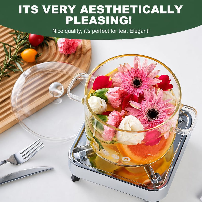 67 oz Glass Simmer Pot with Lid - Stovetop Safe Cookware for Cooking | 1900ml, Heat-Resistant Borosilicate Glass, Stovetop Safe for Cooking, For Potpourri, Soup, Pasta, Baby Food, Dual Handles