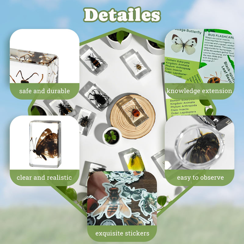 12 PCS Real Insect Resin Specimen, Science Education Bug Collection | Preserved Butterflies & Beetles, Stickers & Knowledge Cards, Kids Gift for Preschool Classroom Learning & Oddities Collectors