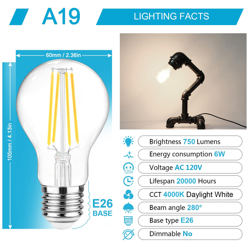 Ascher 60 Watt Equivalent, E26 LED Filament Light Bulbs, Daylight White 4000K, Non-Dimmable, Classic Clear Glass, A19 LED Light Bulb with 80 CRI, Pack of 12 12 Count (Pack of 1)