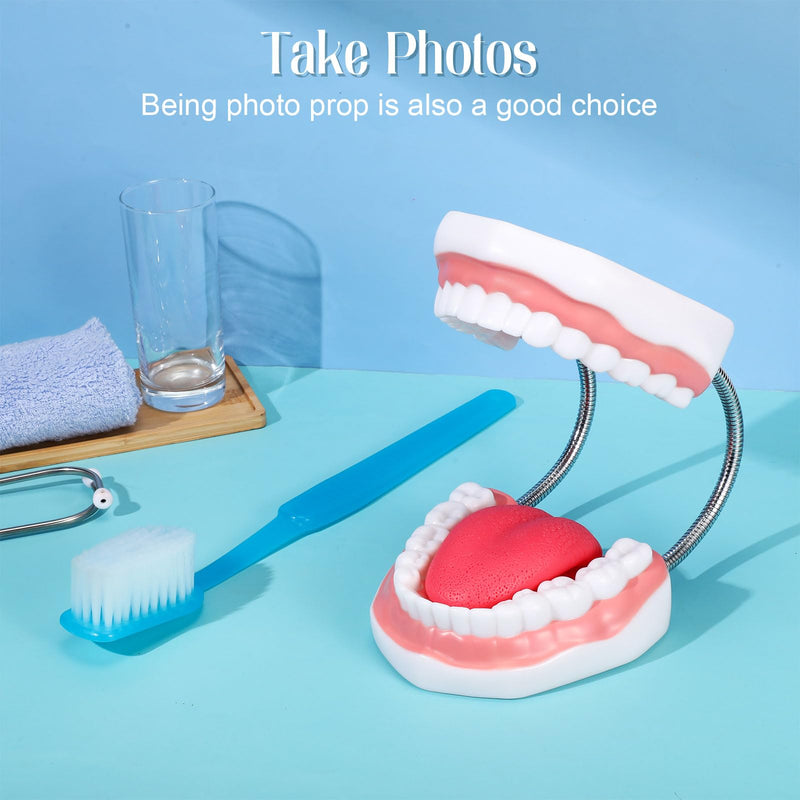 Baderke Huge Mouth Model with Hinge and Giant Toothbrush Set for Speech Therapy, Brushing Teaching Dental Teeth Model, Dental Hospital Health Education Tool(Blue) Blue