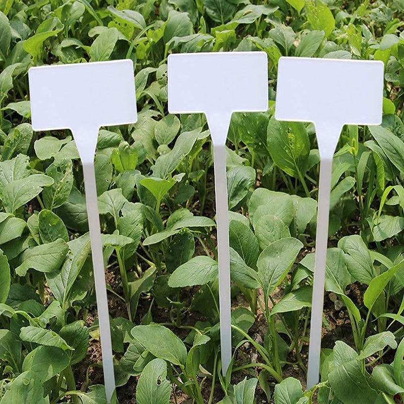 KINGLAKE GARDEN Outdoor Plastic Plant Labels 30 Pack 11.8 inch Outdoor Waterproof Sturdy Nursery Garden Markers, Plant Markers for Herbs, Flowers, Vegetable, Plant White