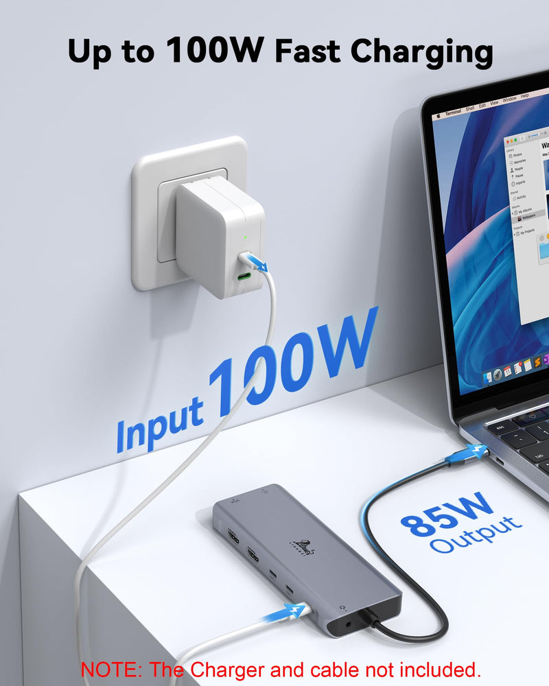 USB C Docking Station Dual Monitor for Laptop, LIONWEI 14-in-1 USB-C Hub with Triple Display, 2 HDMI + VGA, Ethernet, 6 USB A/C 3.0/2.0, PD, SD/TF, Audio, USBC Dock for Surface/HP/Dell/Lenovo/MacBook 14 in 1 VGA